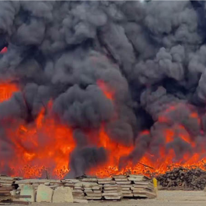 1744696613677-a394411a-2024-4cfd-859e-426ddba4722d_1