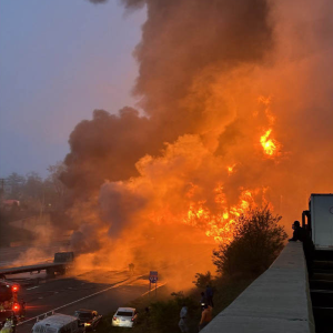 1744696613677-a394411a-2024-4cfd-859e-426ddba4722d_7 (2)